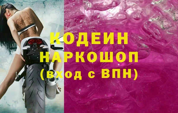 a pvp Няндома