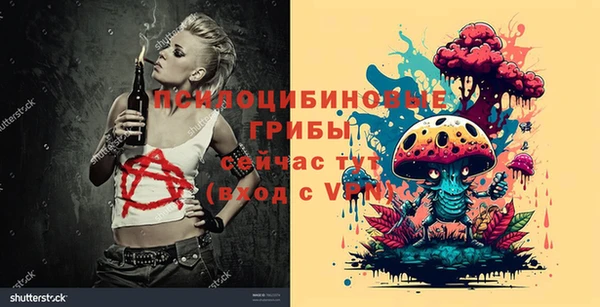 молекула духа Нязепетровск
