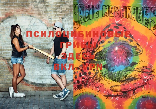 сатива Алексеевка