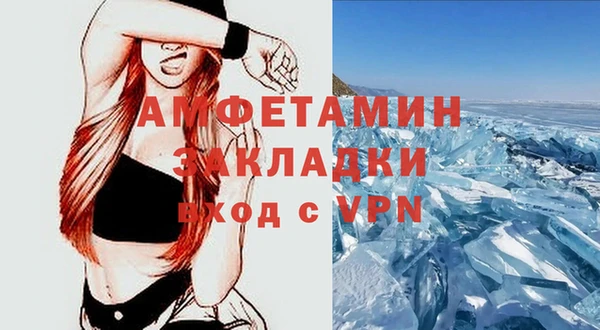 сатива Алзамай