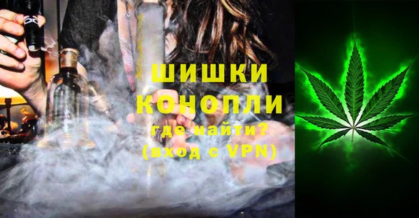 сатива Алзамай
