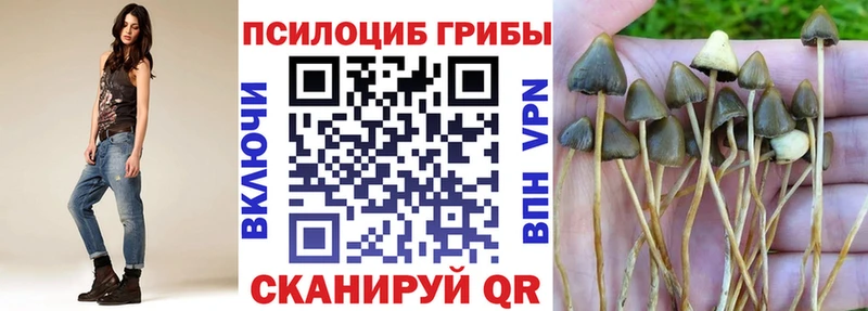 купить закладку  Зуевка  Галлюциногенные грибы Cubensis 